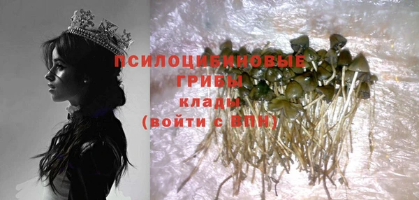 спайс Аркадак