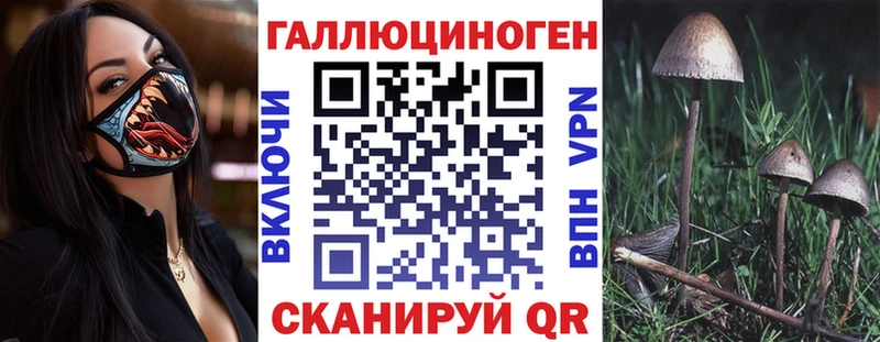 Псилоцибиновые грибы Psilocybine cubensis  Починок 